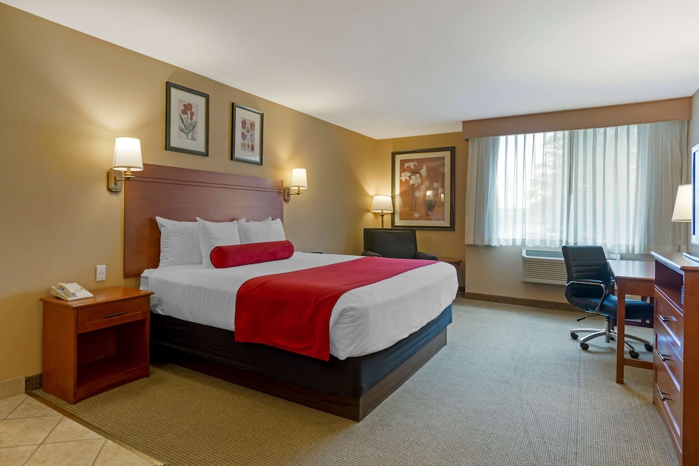 Wingate by Wyndham Mount Vernon 18/50