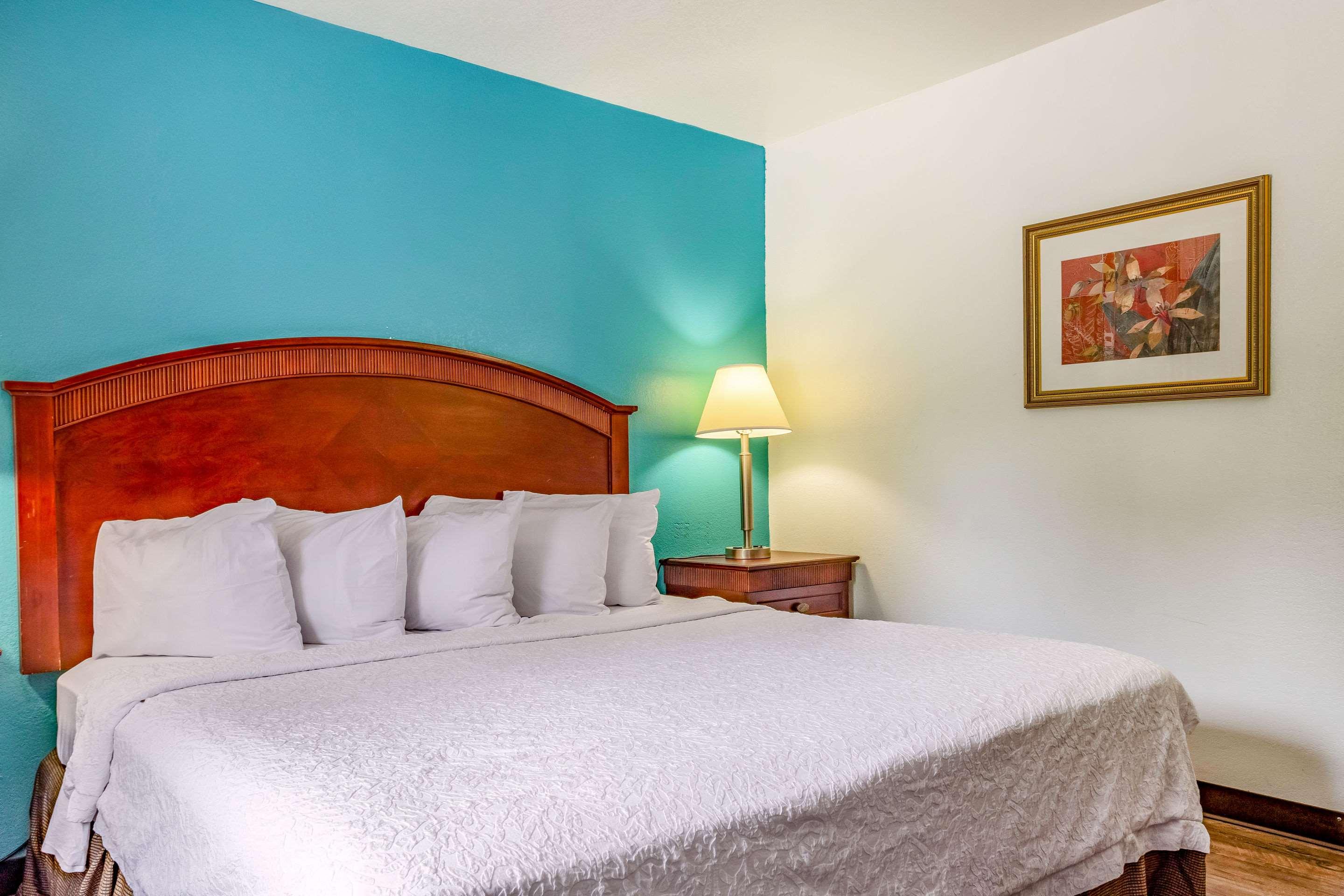 1 King Bed - Non-Smoking, Mini Fridge