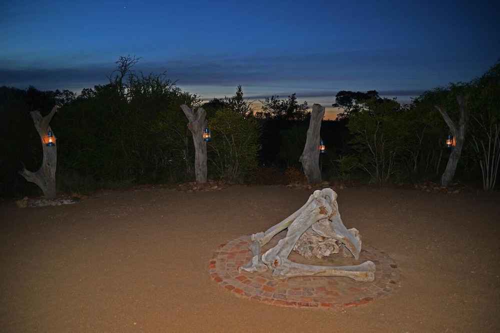 Wild Olive Tree Camp 10/20
