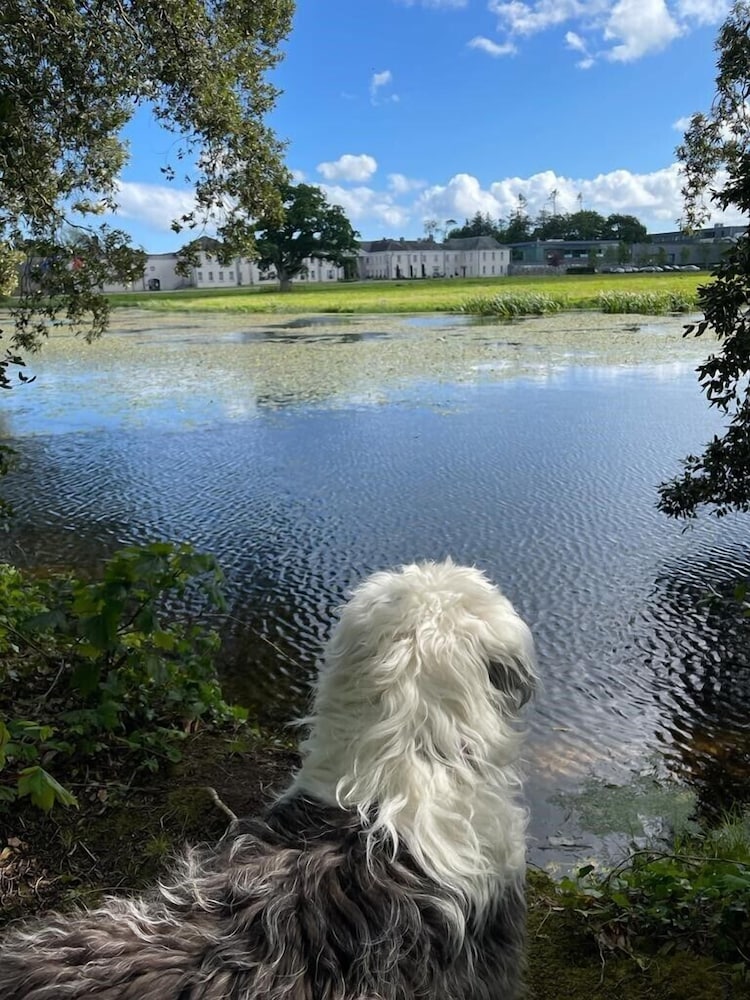 Castlemartyr Resort 53/57