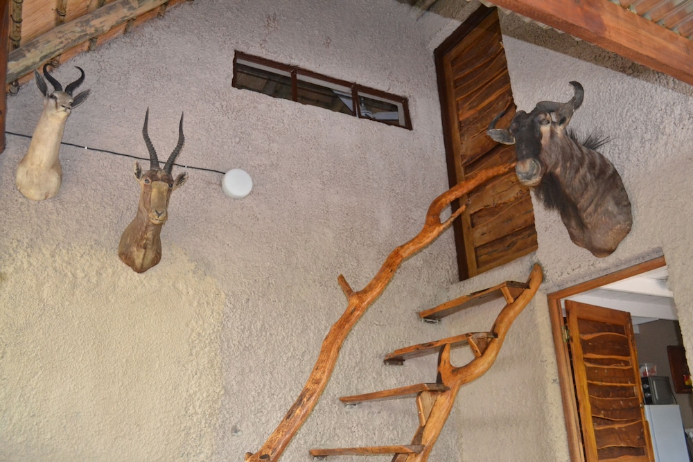 Mali Mali Safari Lodge 30/50