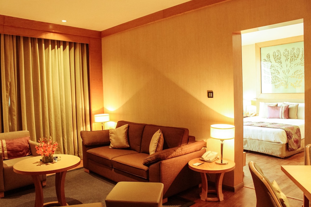 Radisson Blu Hotel, New Delhi Dwarka 31/50