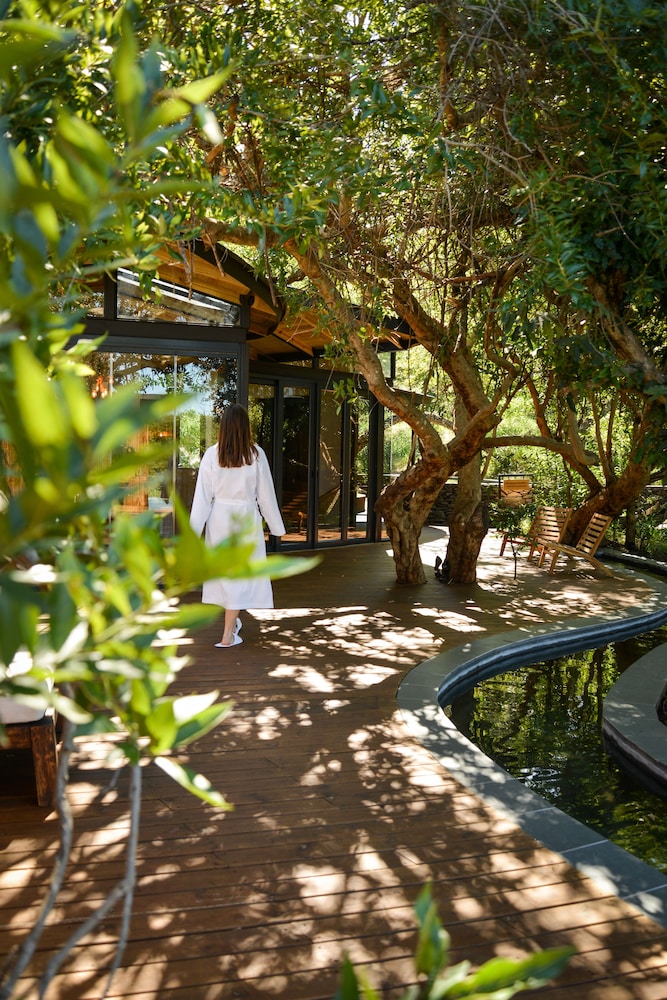 Lion Sands River Lodge 15/74