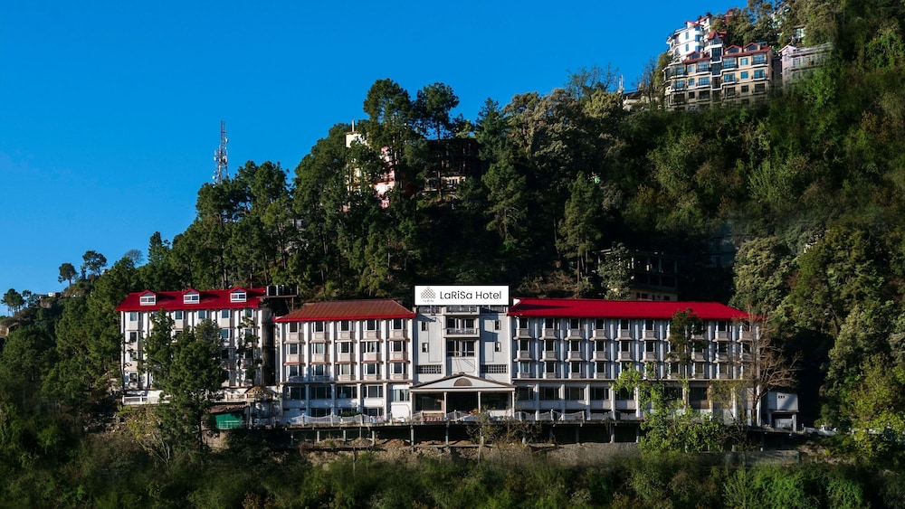 8fold By Larisa Shimla in SHIMLA