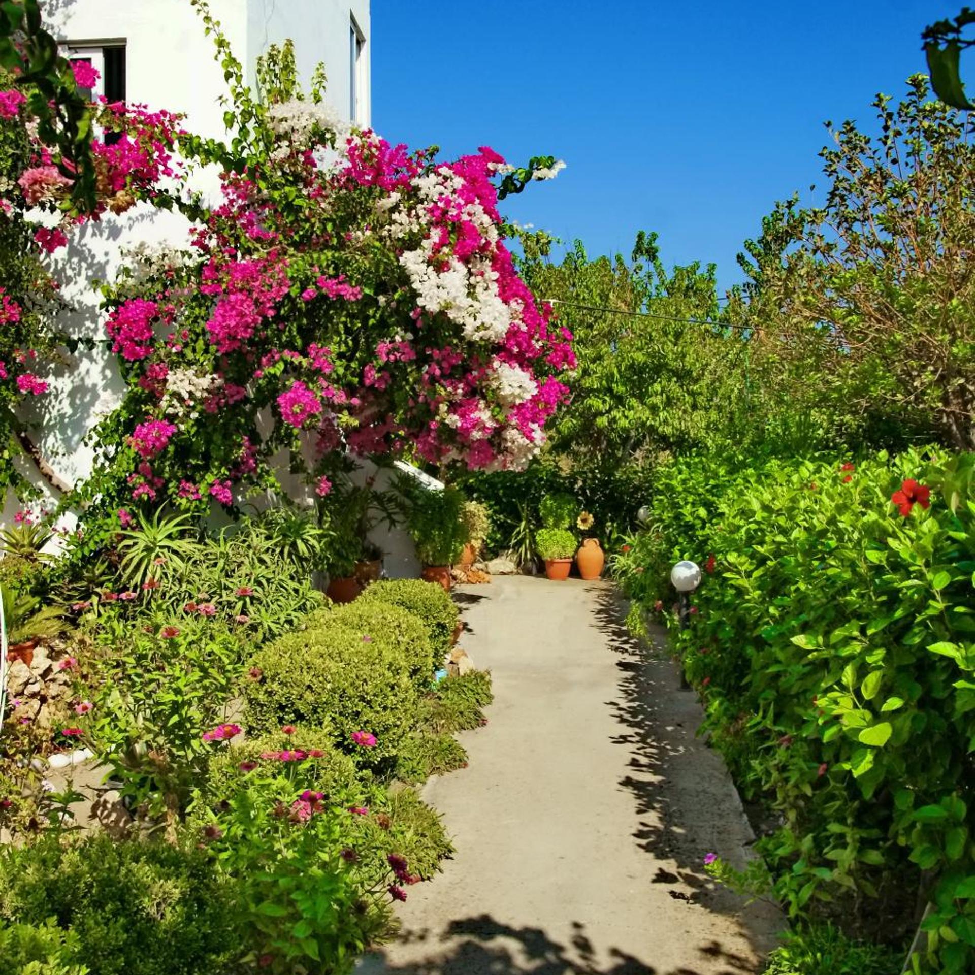 Pauls Garden Studios 54/58