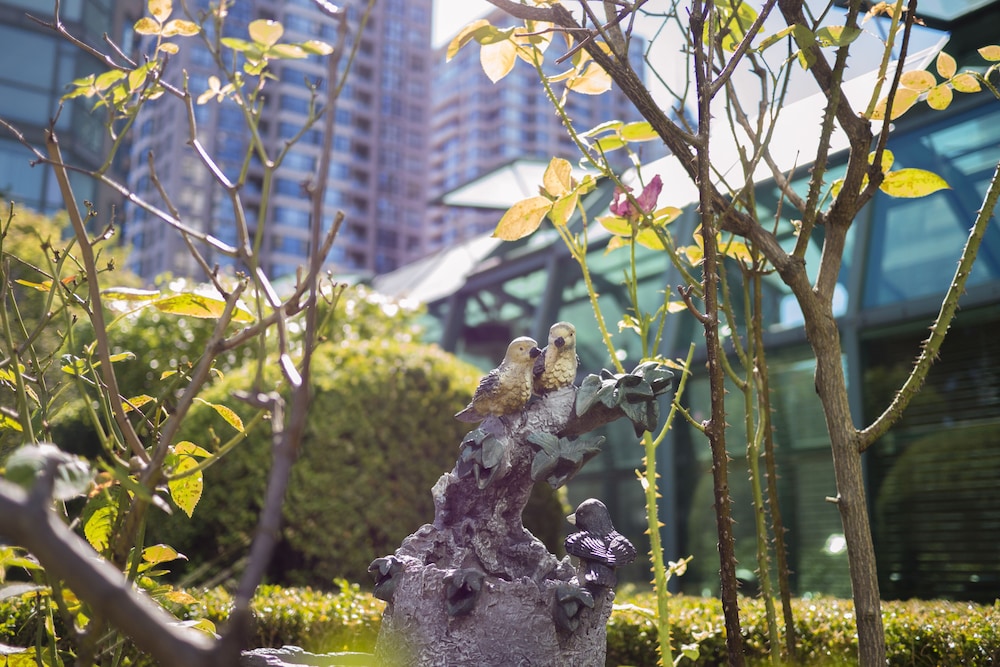 Rosedale On Robson Suite Hotel 41/45