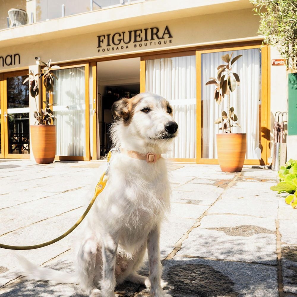 Pousada Boutique Figueira da Serra 11/58