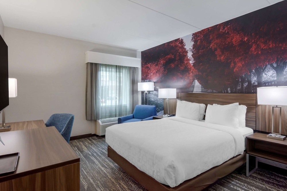ROOM, QUEEN BED, ACCESSIBLE