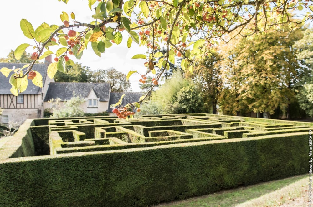 Chateau De Noirieux 37/50
