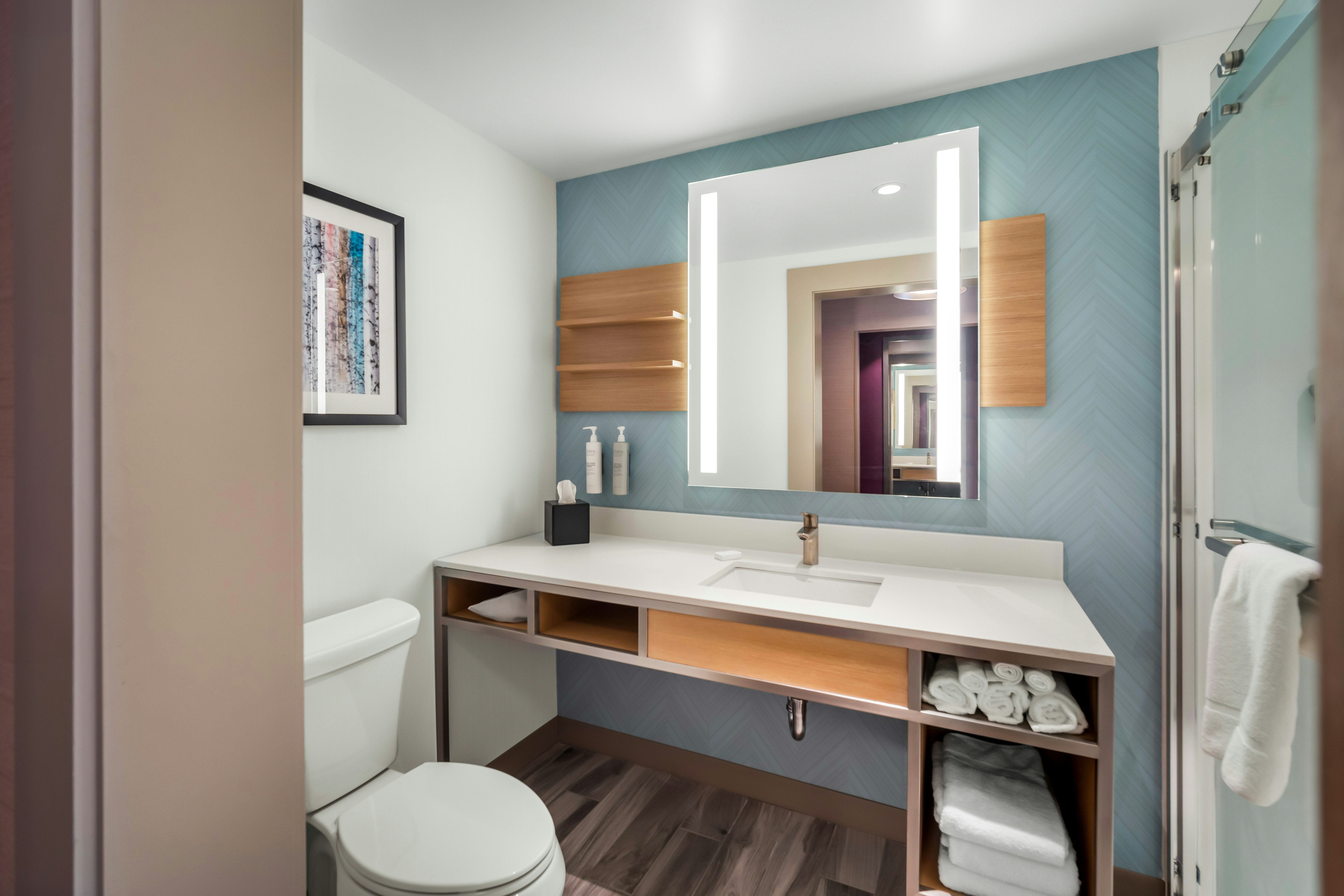 غرفة بسرير كينج لذوي الإعاقة، Hilton Garden Inn North Conway 4/4