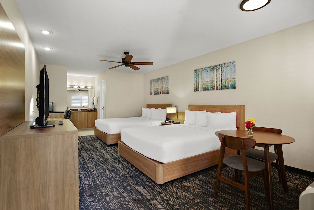 جناح استوديو بسريرين كوين، La Fuente Inn Suites 4/6