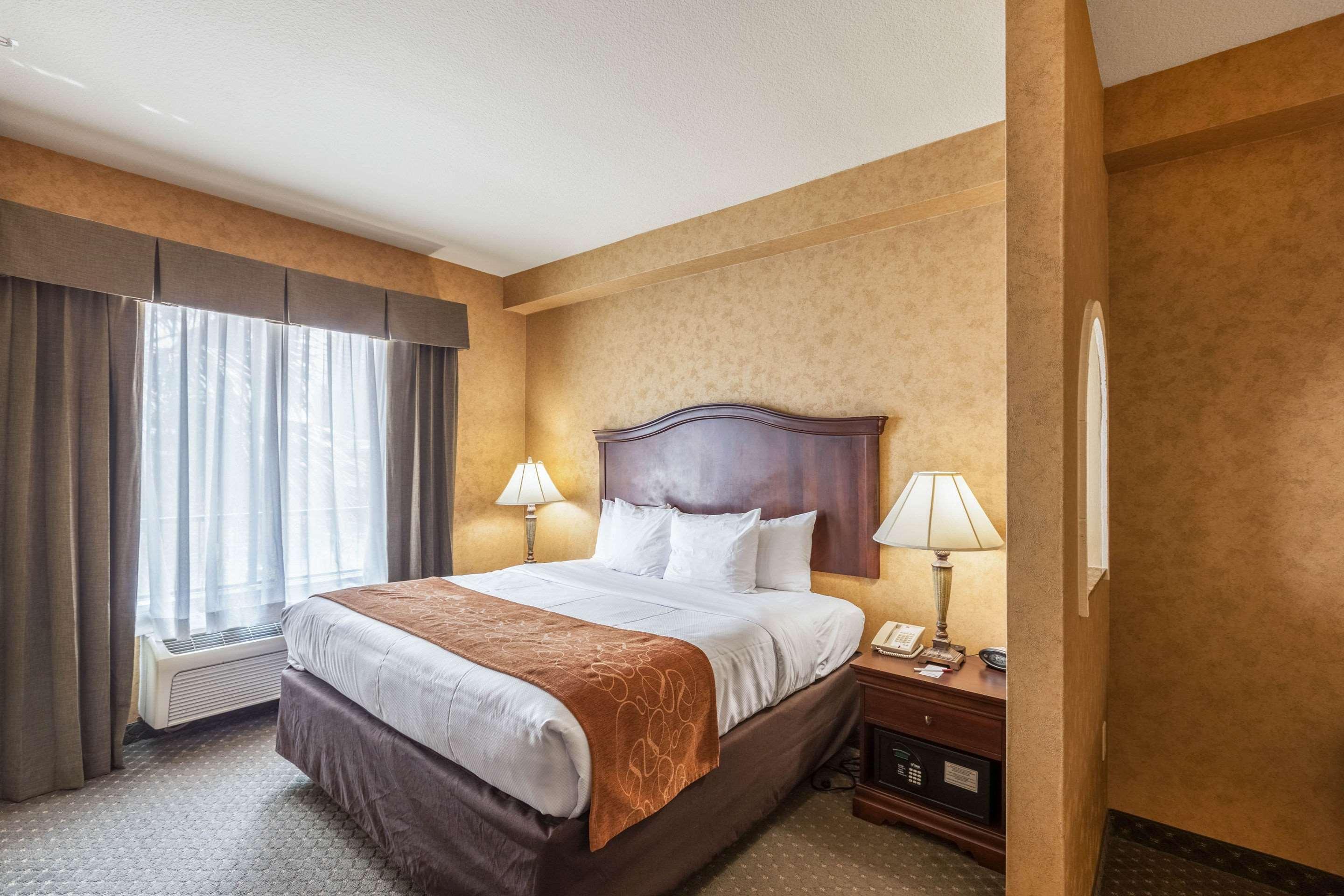 SUITE, QUEEN BED