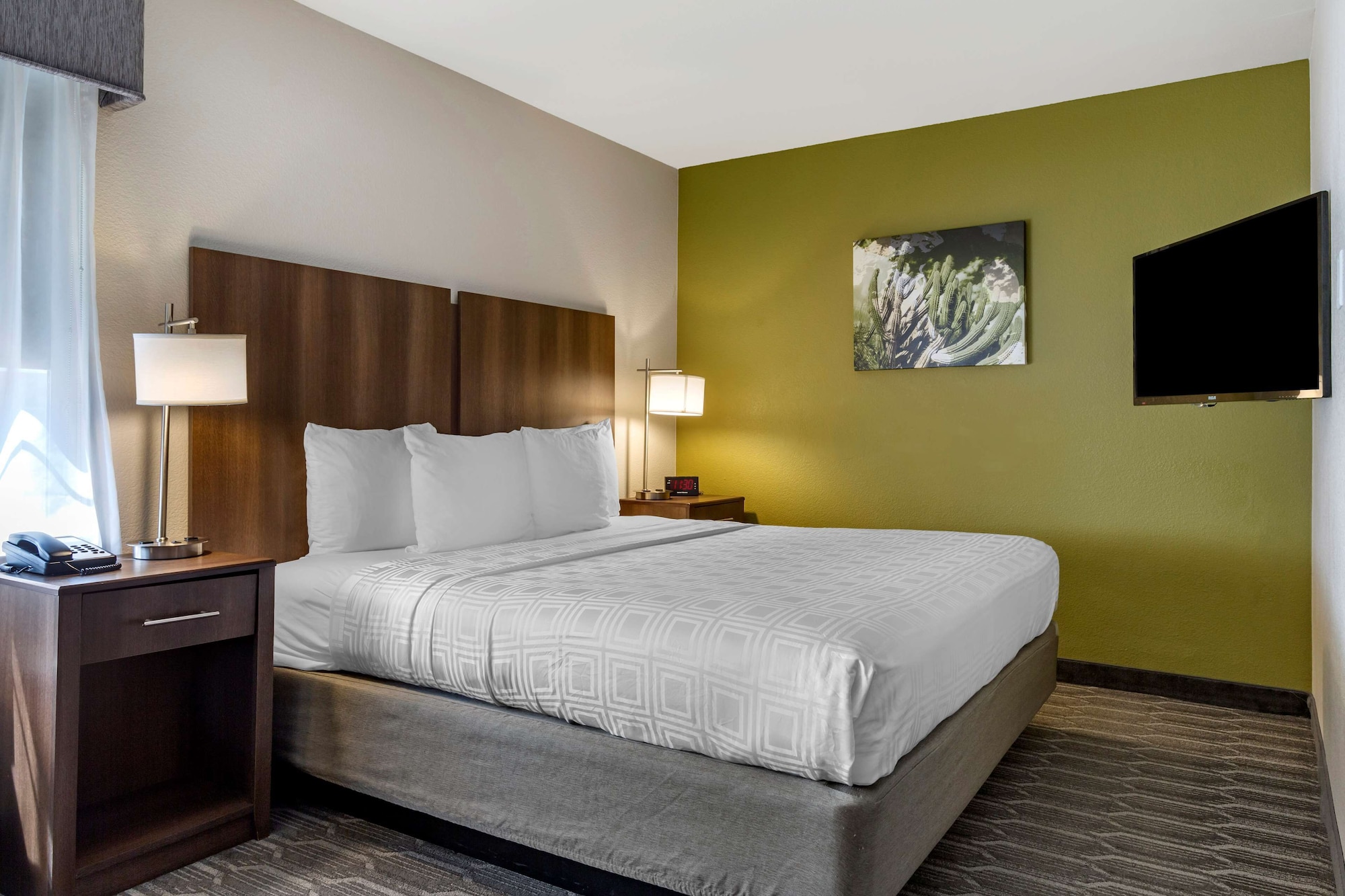 STANDARD, KING BED, PET FRIENDLY
