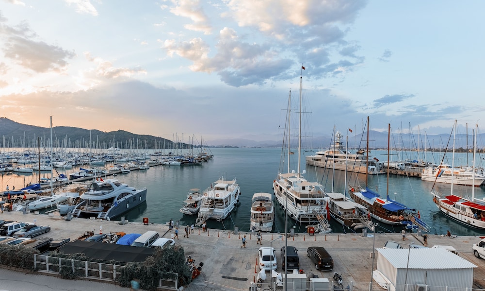 Harbour Suite 36/38