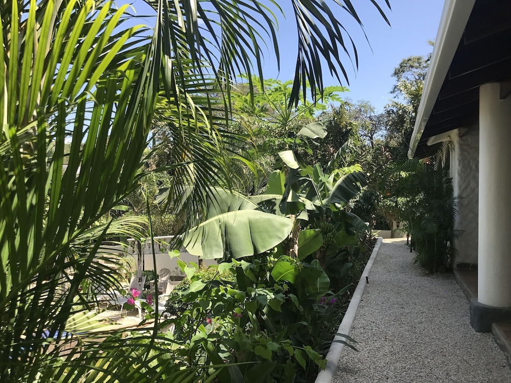 Hotel Flores 36/50