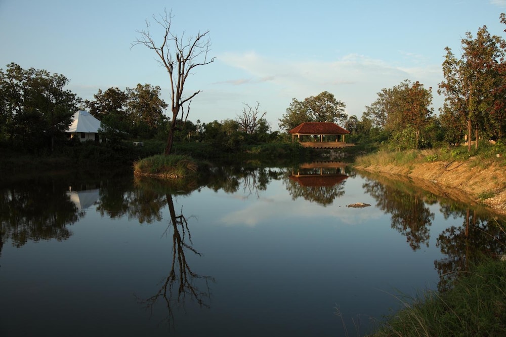 Tuli Tiger Corridor 16/23