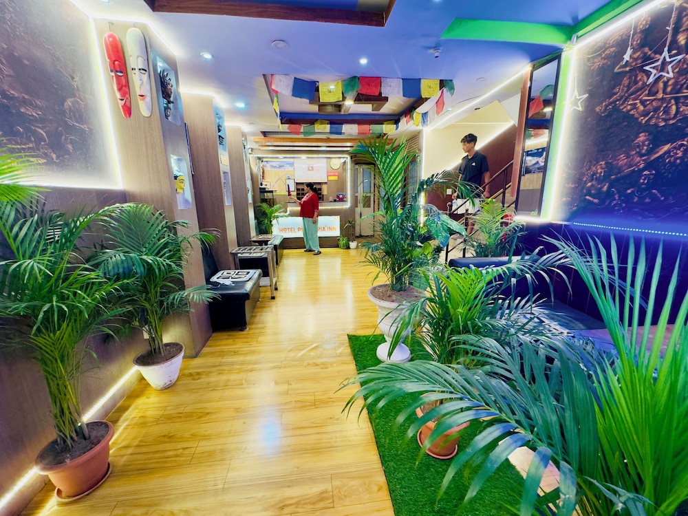 Hotel Plumeria Inn 27/39