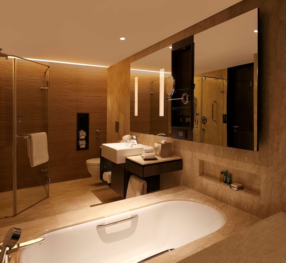 Hilton Jaipur 19/60
