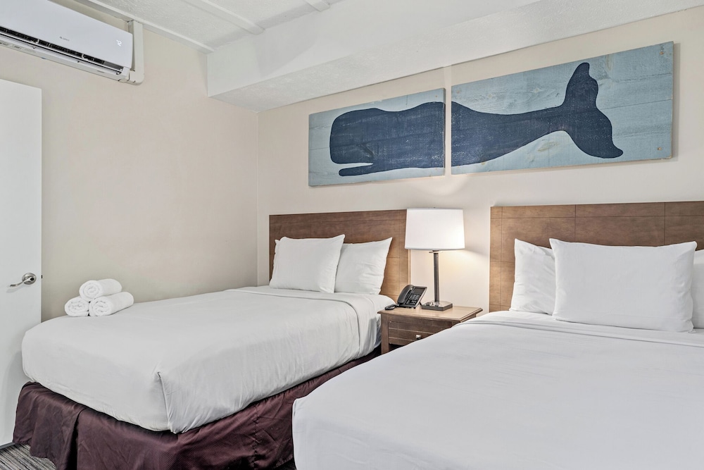 1 Bedroom, Suite, 2 Double Beds, Beach Front, Sofa