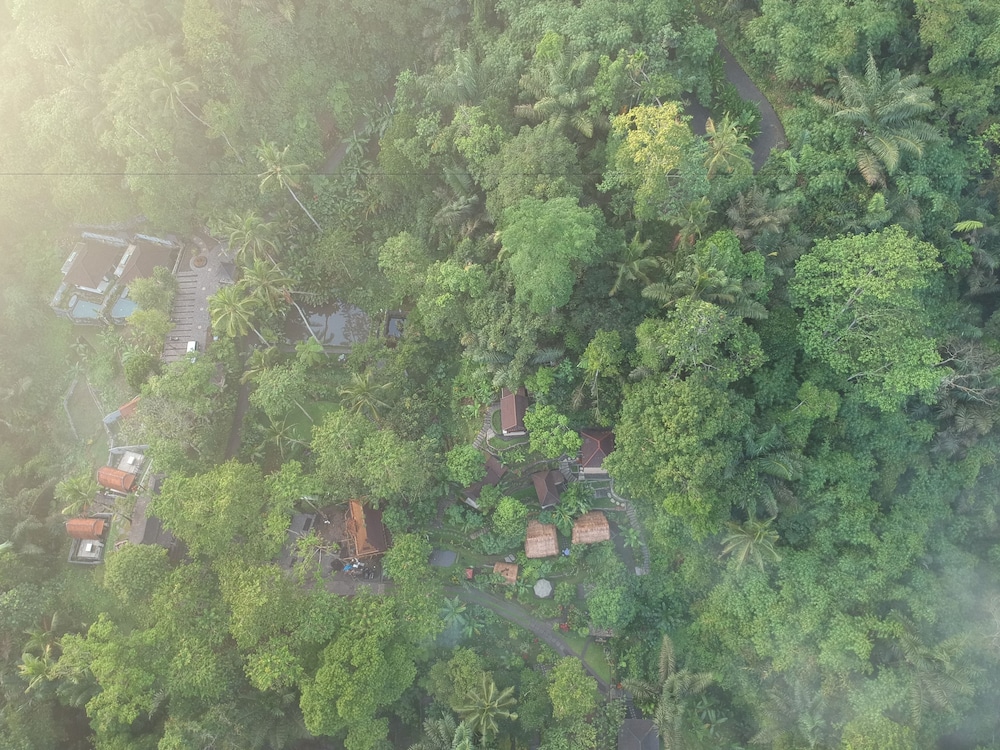 Bali Jungle Huts 44/50