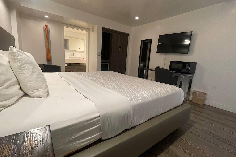 Deluxe, King Bed