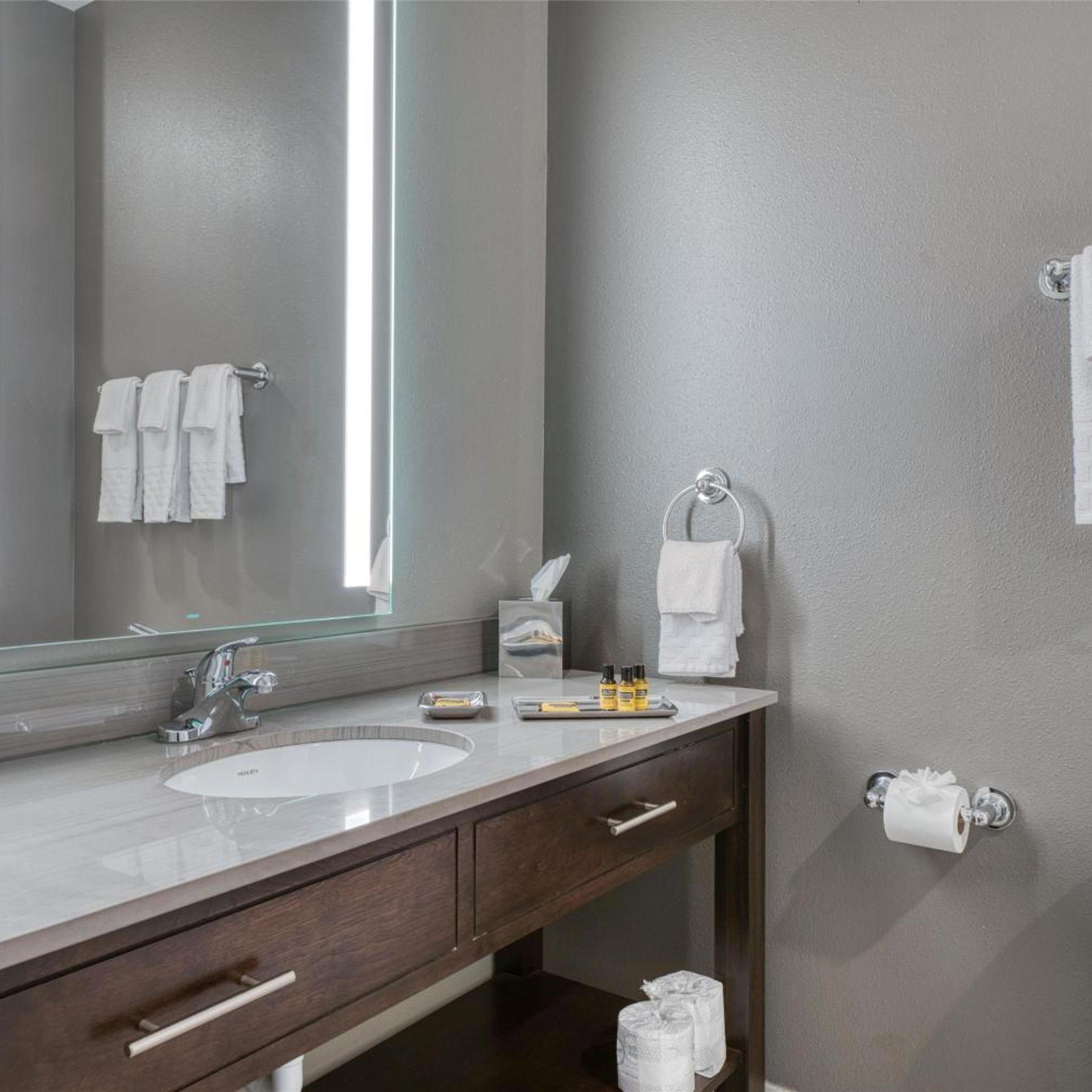 Room, Queen Bed, Best Western Plus Saint Peter 7/7