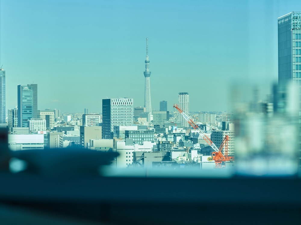 Mitsui Garden Hotel Ginza Premier 45/49