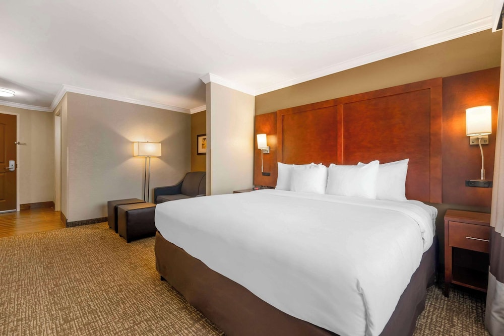 Suite, King Bed, Sofa, Accessible