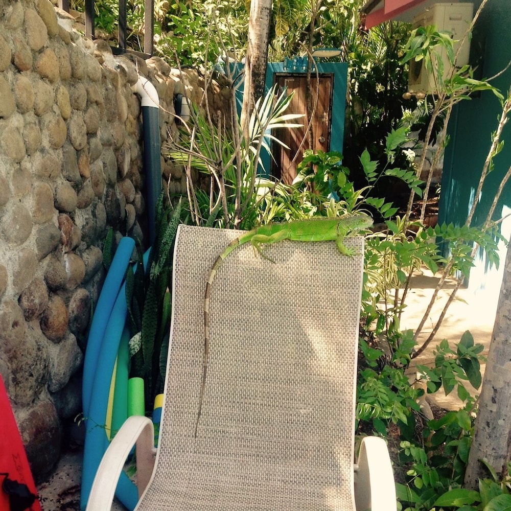 Hotel Tamarindo Village 64/74