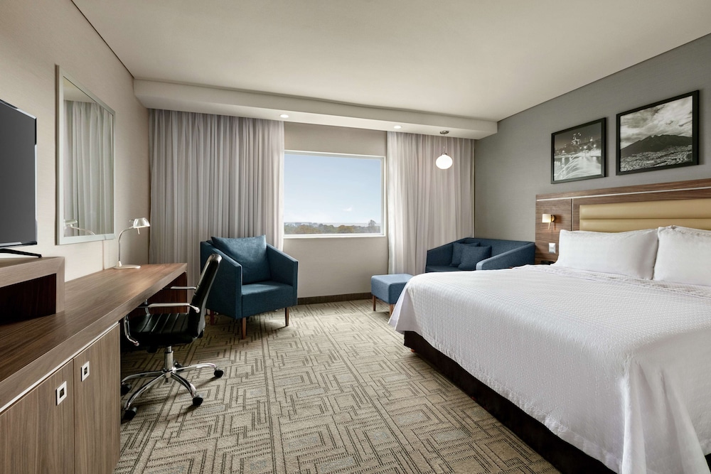 ROOM, KING BED, ACCESSIBLE