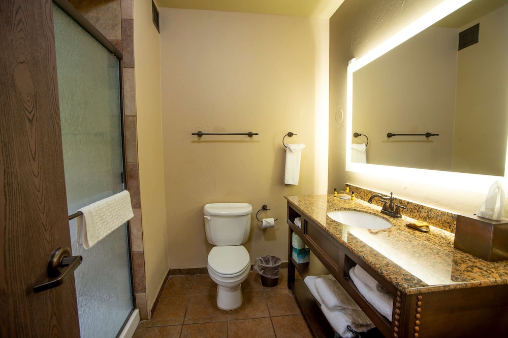 Best Western Plus Cimarron Hotel & Suites 20/41