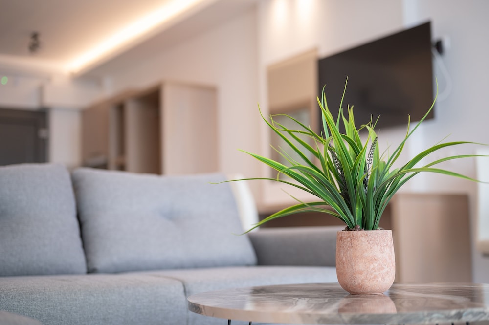 Ebenus Suites (Adults Only) by Checkin 30/41