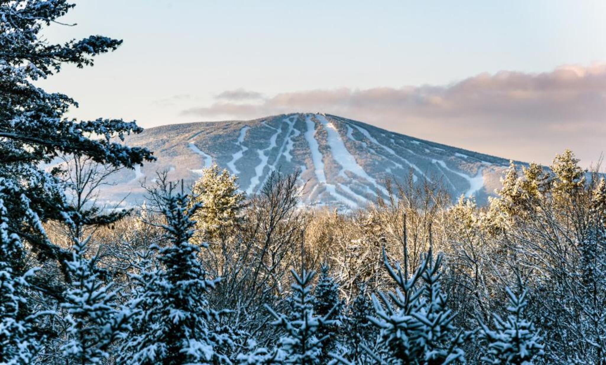 Stratton Mountain Resort 31/37