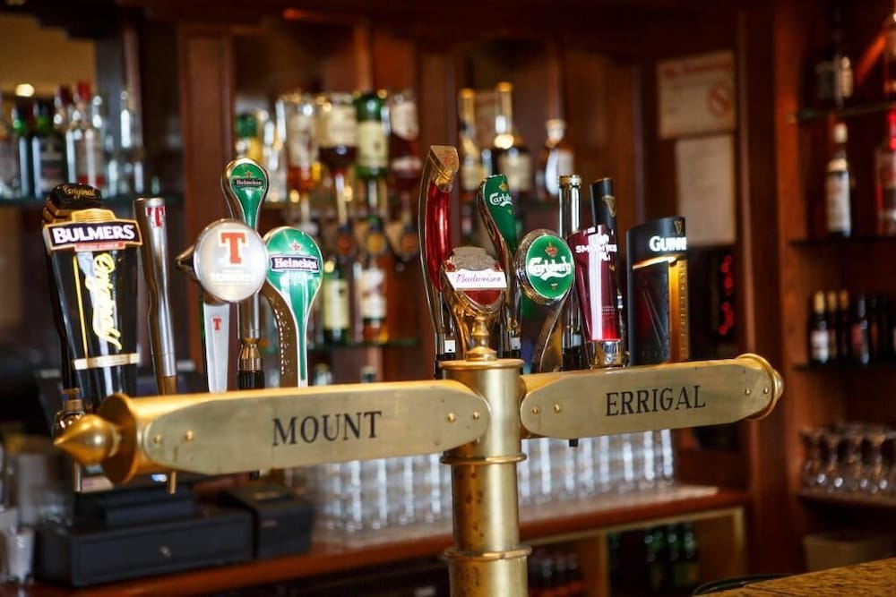 The Mount Errigal Hotel 59/65