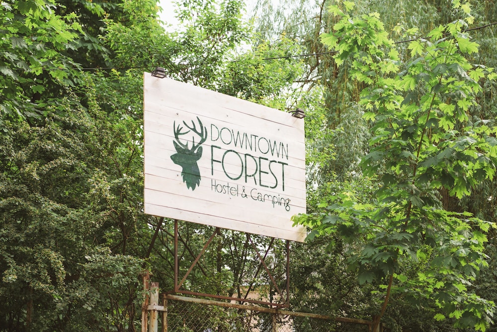 Downtown Forest Hostel & Camping 3/50