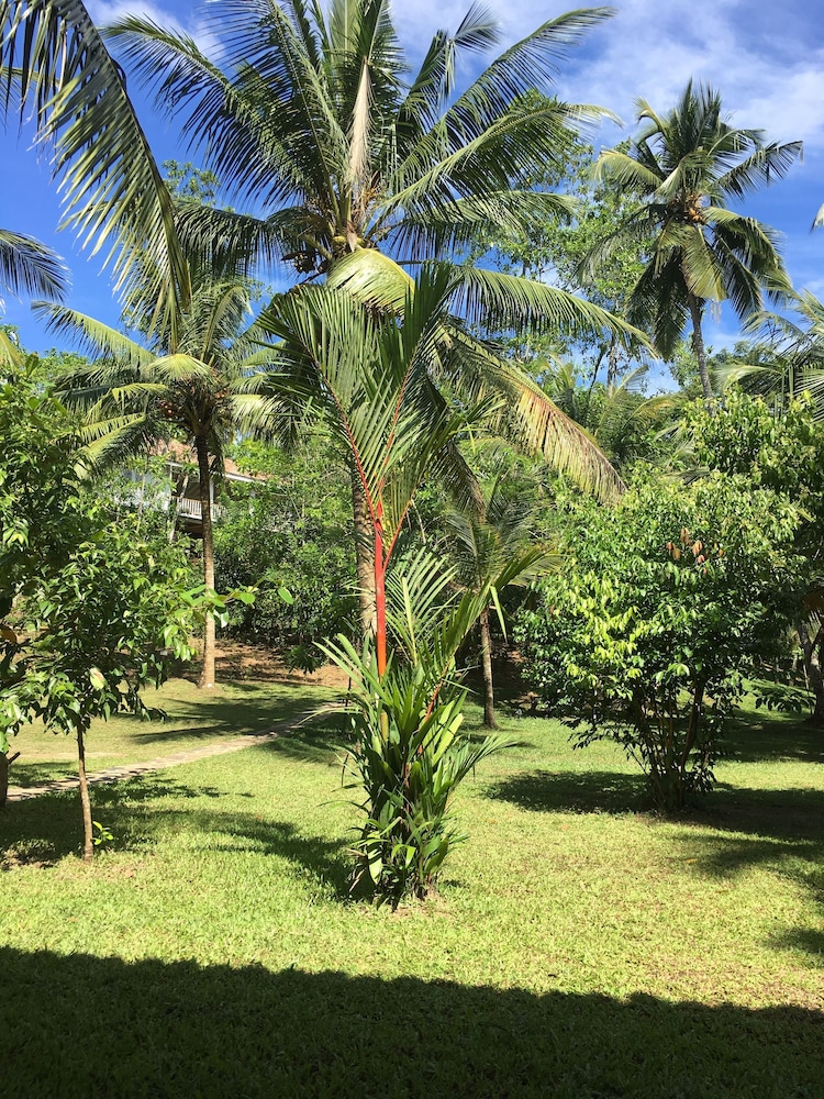 Good Vibes Villas Retreat And Restaurant 33/44