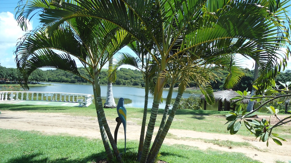 Fazenda Fiore 42/51
