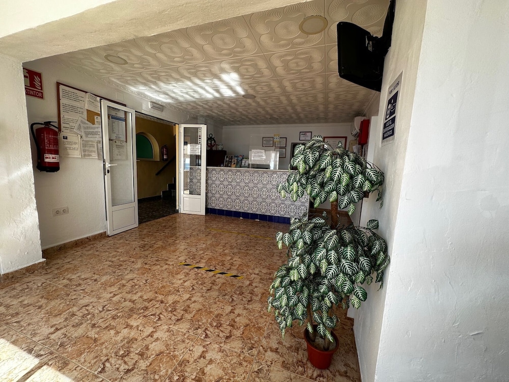 El Flamenco Hostal 4/56