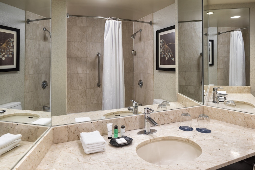 Sheraton Chicago O Hare Airport Hotel 12/73