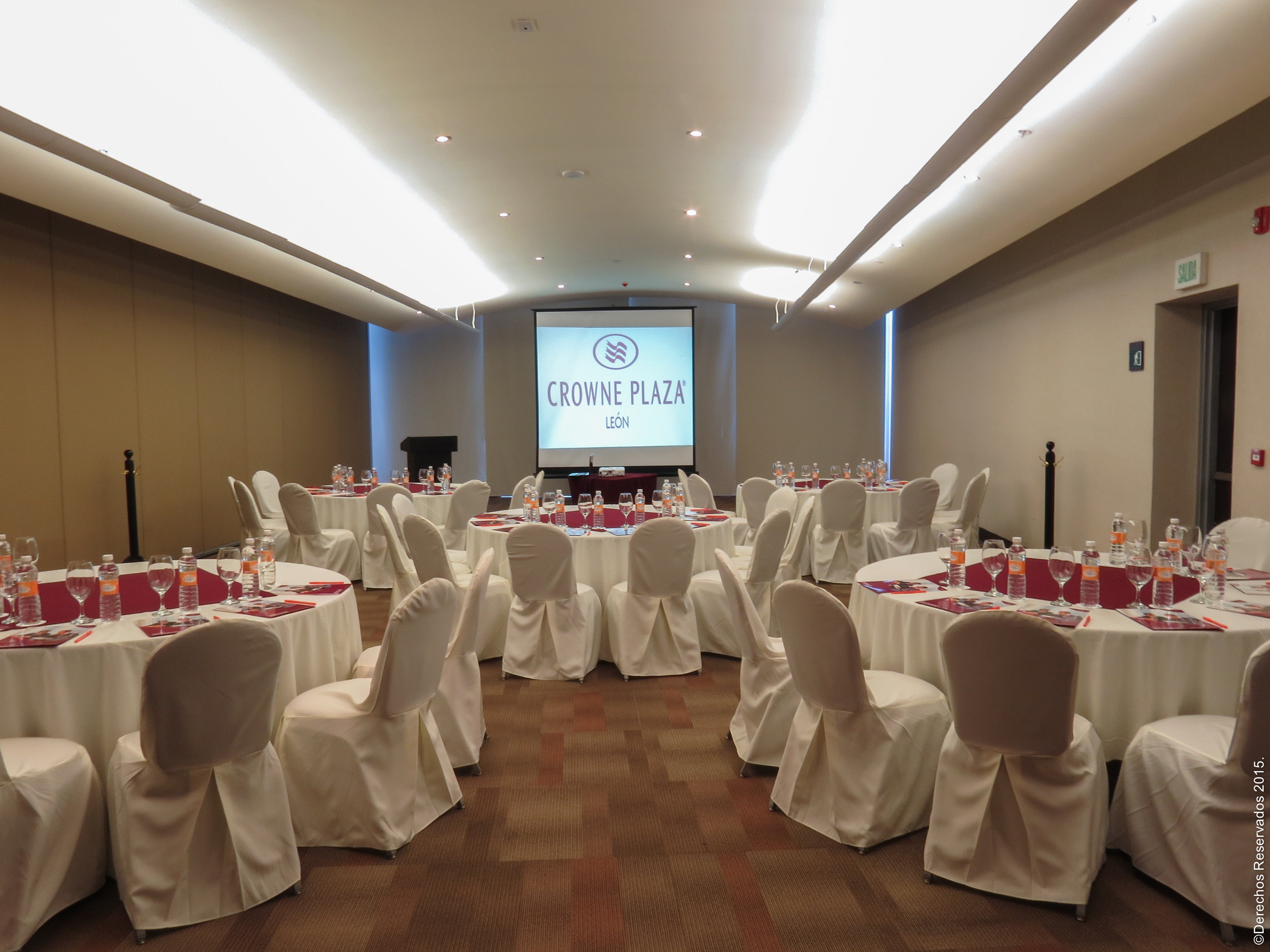 Crowne Plaza Leon 41/50