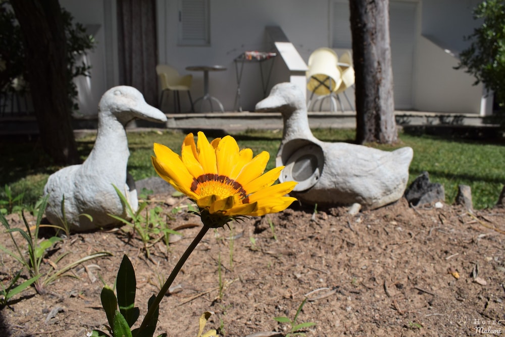 Malemi Organic Hotel 28/56