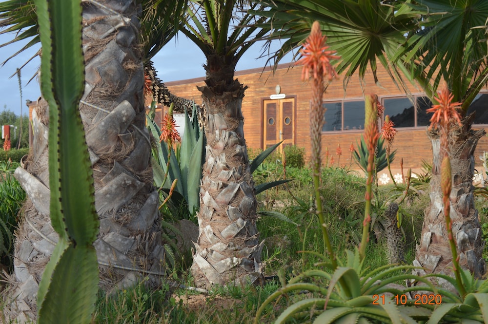 Dakhla Kitesurf world 35/50