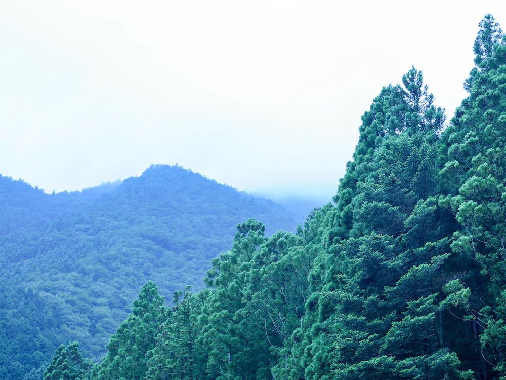 Sumatakyo Onsen Okuoi Kanko Hotel Suikoen 55/58
