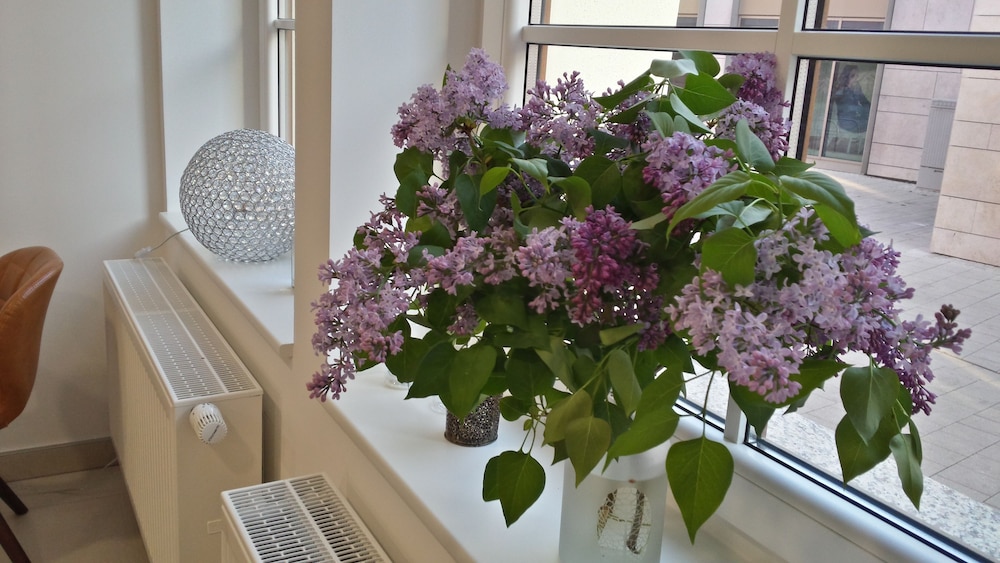 Boutique Hotel Kronenstuben 33/50
