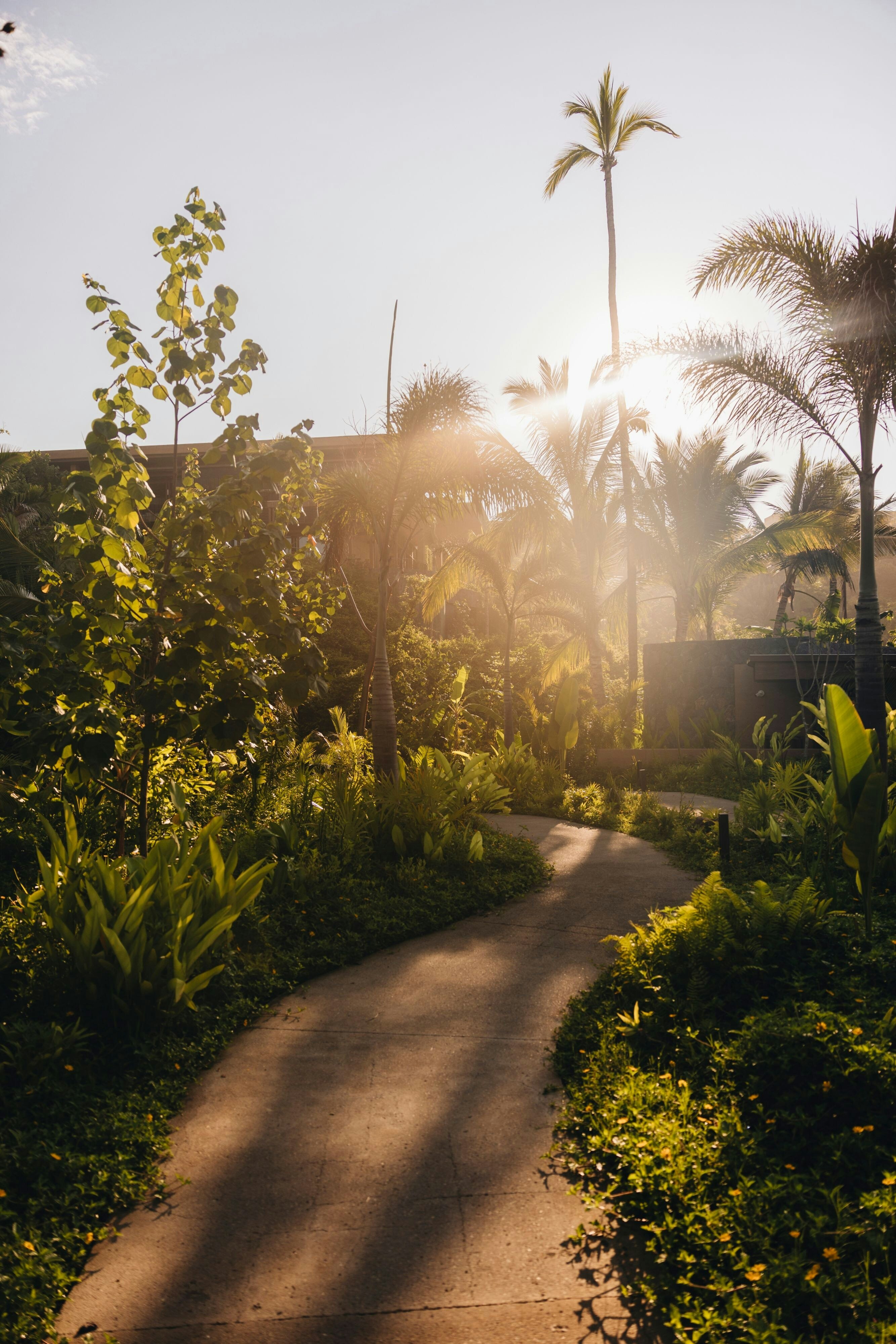 Siari Riviera Nayarit, a Ritz-Carlton Reserve 35/50