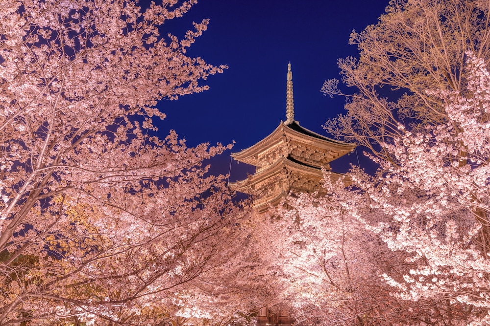 Omo3 Kyoto Toji by Hoshino Resorts 47/50
