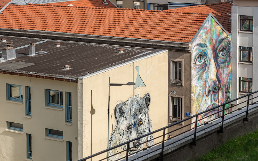 Au Coeur De Nancy Bnb 2/50