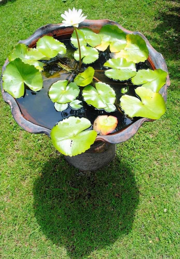 Baan Sawan Samui Resort 70/74
