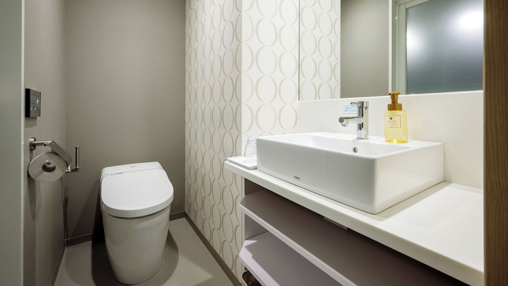 Renovated Superior Queen Non Smoking 18 sqm Separate Bath