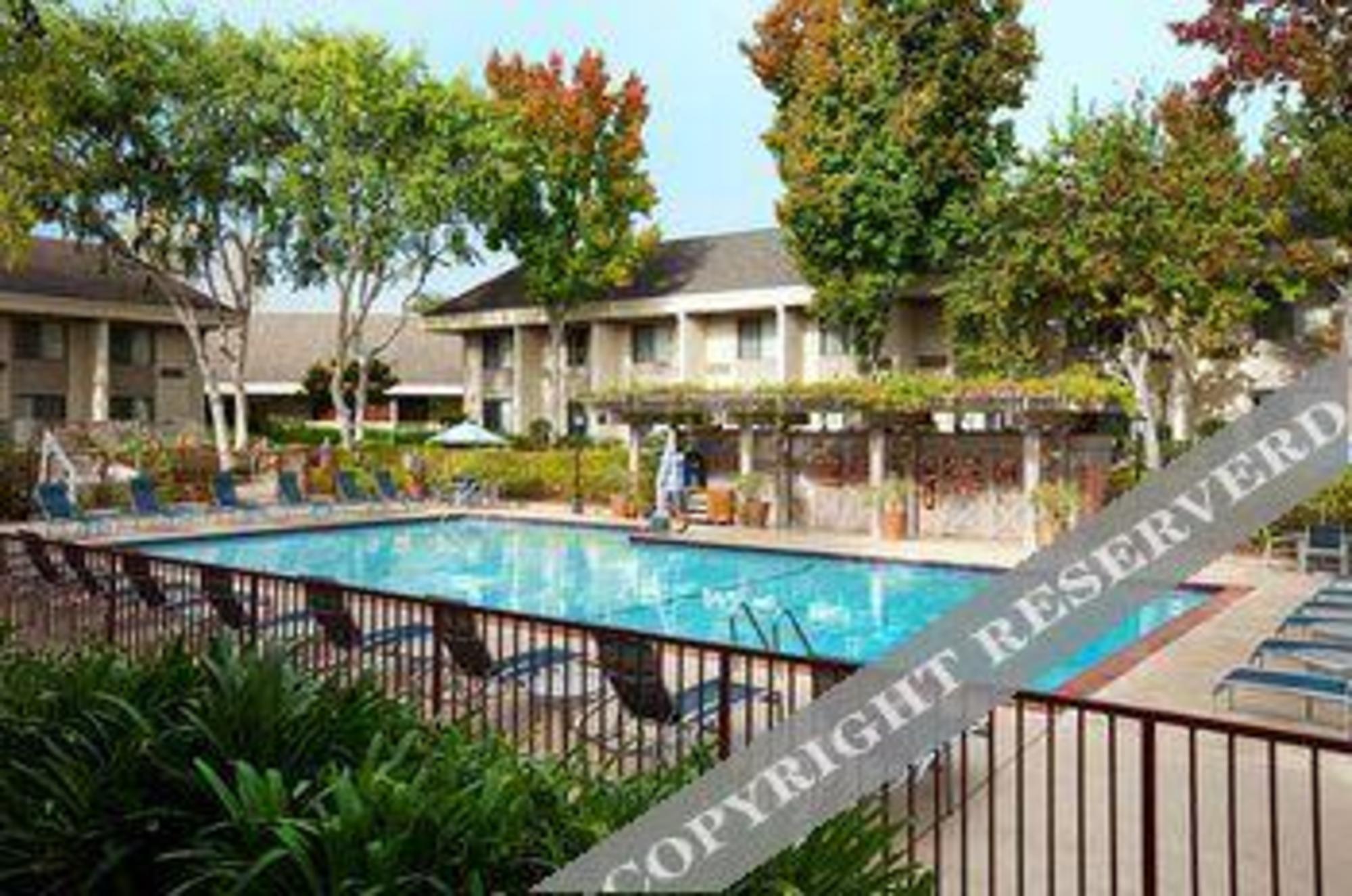 Sheraton Sunnyvale Hotel 27/28